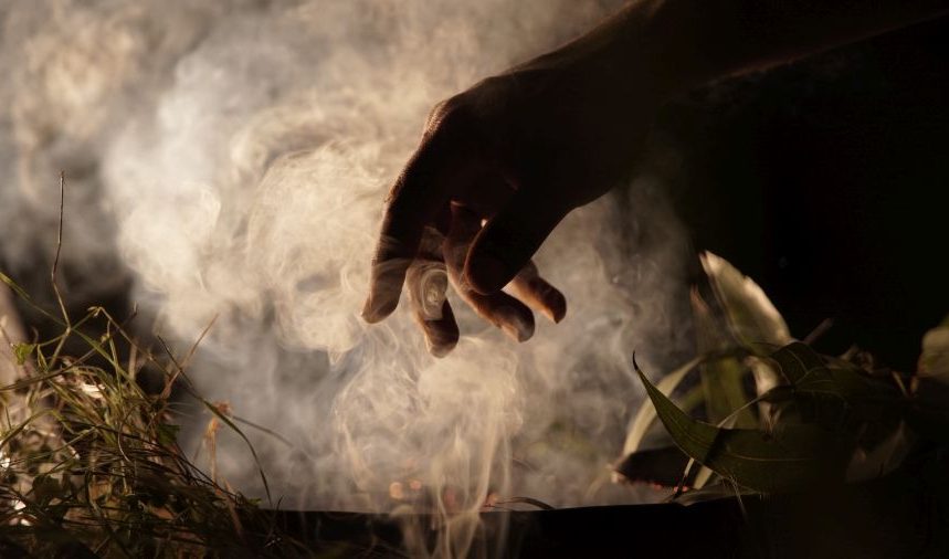 A hand silhouetted against smoke and gum tree leaves.