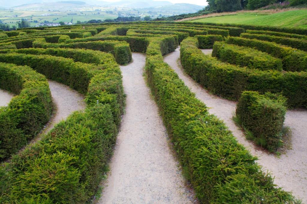path. Image is a green hedge maze.