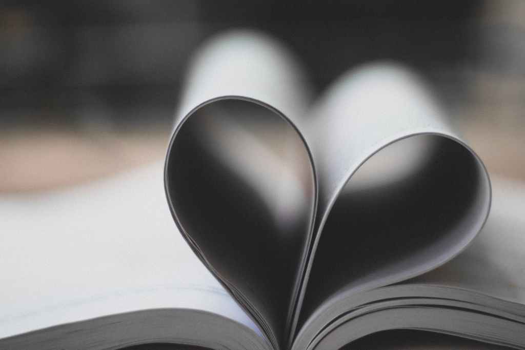 literary speed dating. Image is an open book with the pages folded in to make the shape of a heart.
