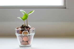 Fee negotiation for creative freelancers. Negotiate higher fee with our guide. Image is a plant growing out of a pot filled with coins.