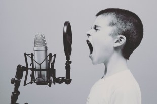 Free speech for artists. Image: Jason Rosewell on Unsplash.