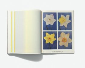 Interior pages of 'Emergence Magazine Vol. #6 – Seasons'. The photograph shows the hefty magazine opened to a page showing four photographs of daffodils and jonquils in bloom, with a blank page opposite on the left.