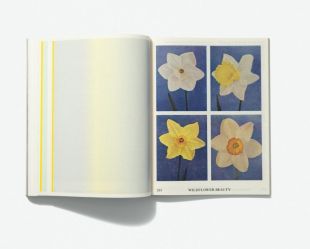 Interior pages of 'Emergence Magazine Vol. #6 – Seasons'. The photograph shows the hefty magazine opened to a page showing four photographs of daffodils and jonquils in bloom, with a blank page opposite on the left.