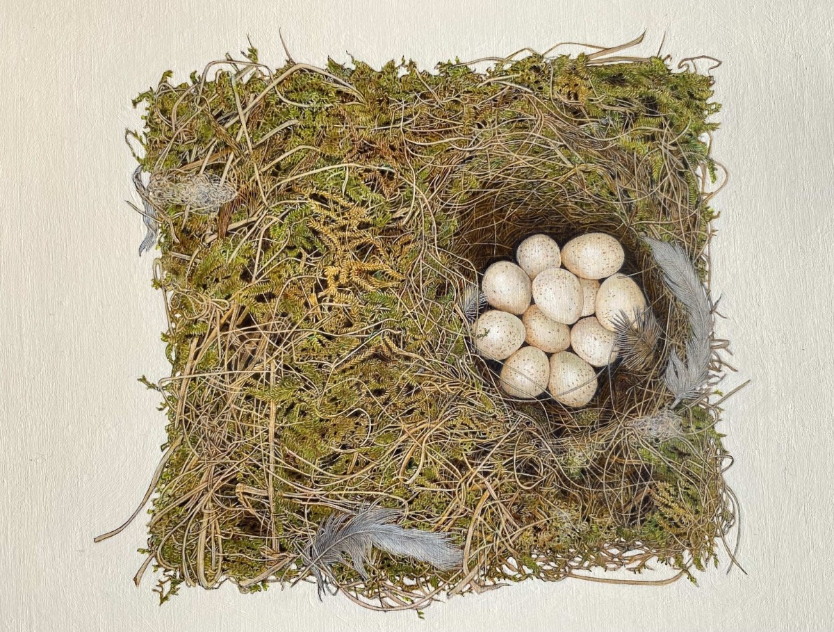 British Art Prize winner Christopher James, Abandoned Nest. supplied. Best new awards & prizes