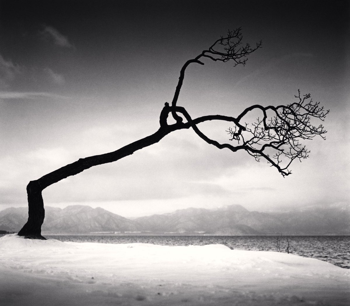 Michael Kenna, Kussharo Lake Tree, Study 16, Kotan, Hokkaido Japan, 2009. Image: Supplied. London art guide.