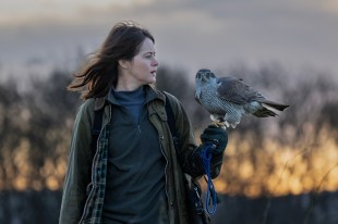 H is For Hawk. Image: Lionsgate.