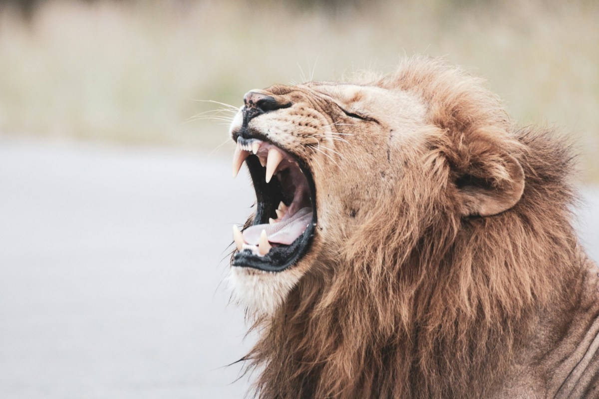 Photo: Glen Carrie / Unsplash.