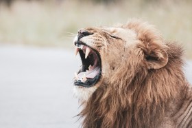 Photo: Glen Carrie / Unsplash.