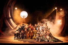 CATS. Photo: Mark Senior.