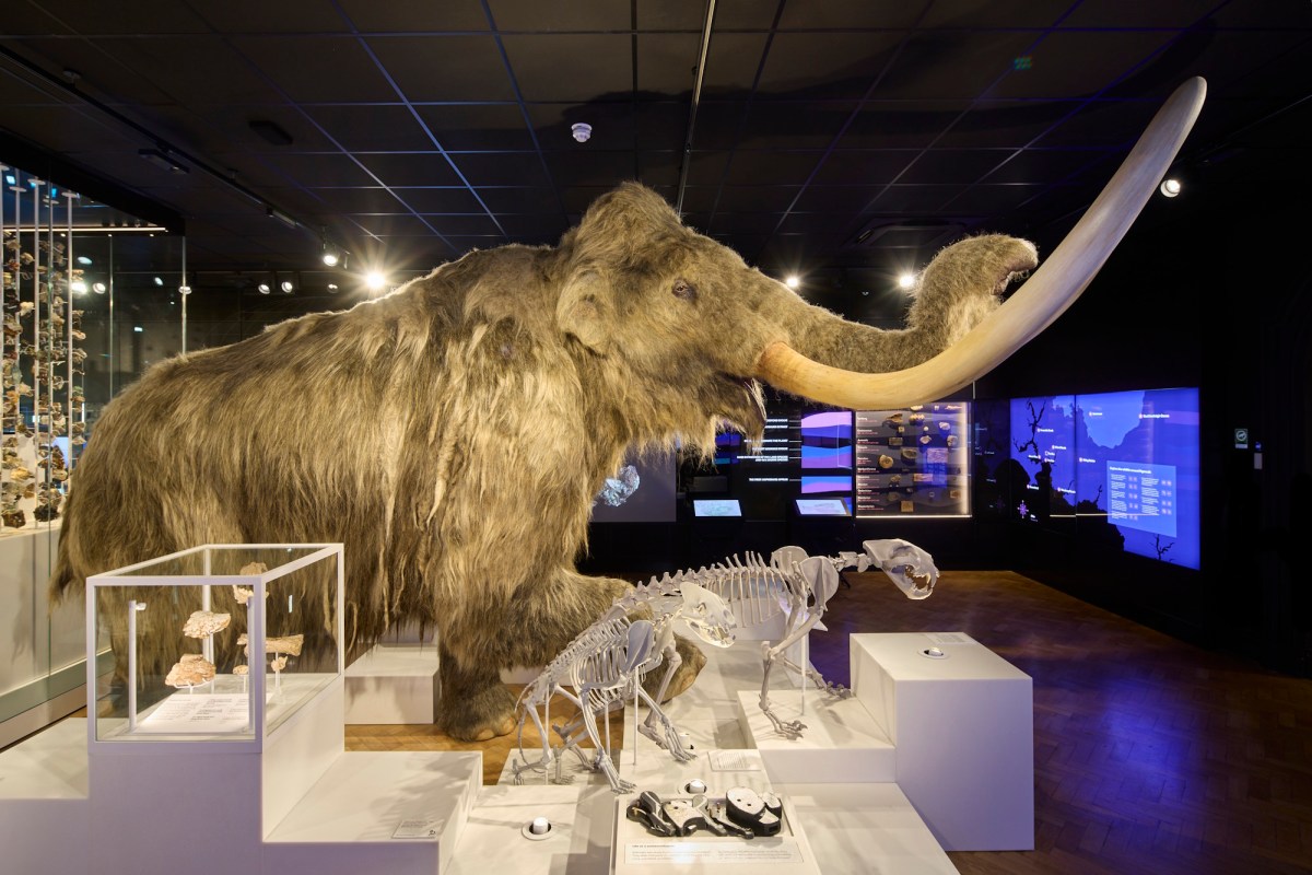 The Box, Plymouth, Museum of the Year 2026. Photo © David Levene; Art Fund 2026