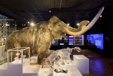 The Box, Plymouth, Museum of the Year 2026. Photo © David Levene; Art Fund 2026