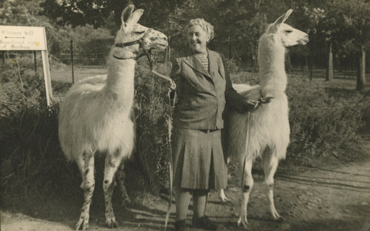 Agatha Christie and llamas at Paignton Zoo. Photo: Supplied.